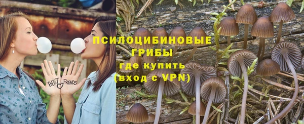 гашик Армянск