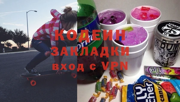 гашик Алексин