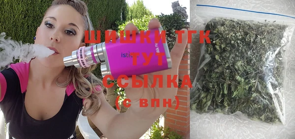гашик Алексин