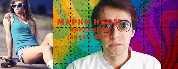 гашик Алексин